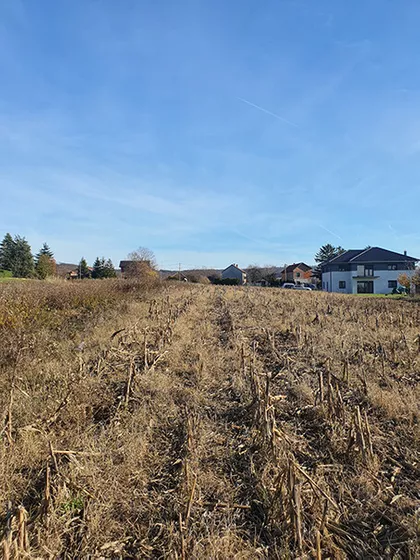 Put Za Markoviće | 4zida.rs