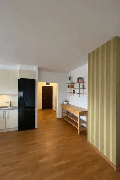 Dr Ivana Ribara | 4zida.rs