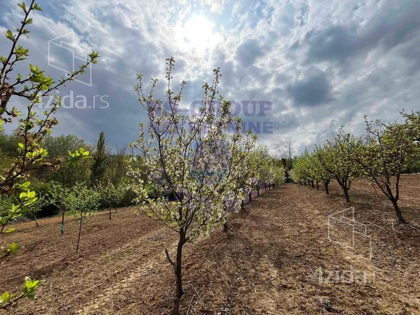 Poljoprivredno zemljište | 4zida