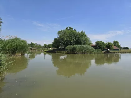 Palić | 4zida.rs