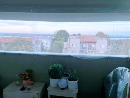 Pjera Križanića | 4zida.rs