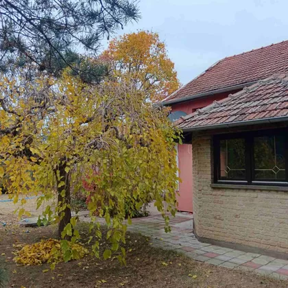 Makova Sedmica | 4zida.rs