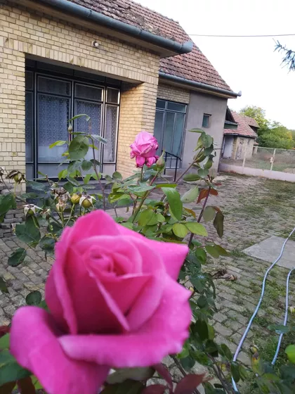 Preradovićeva 21 | 4zida.rs