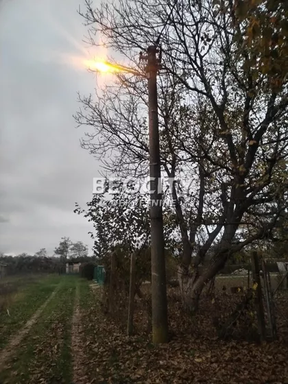 Zarka Bajica | 4zida.rs