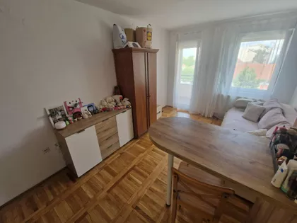 Salajka | 4zida.rs