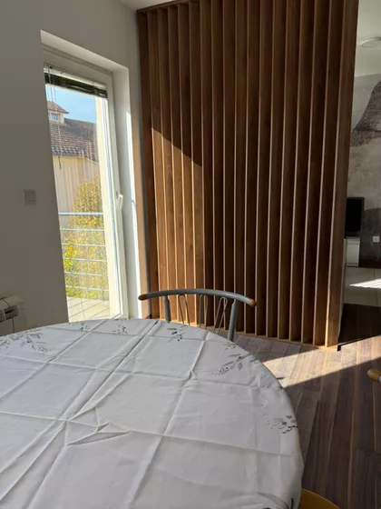 Pavla Vujisića | 4zida.rs