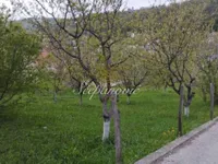 Paragovo, Sremska Kamenica, Gradske lokacije, Novi Sad | 4zida.rs