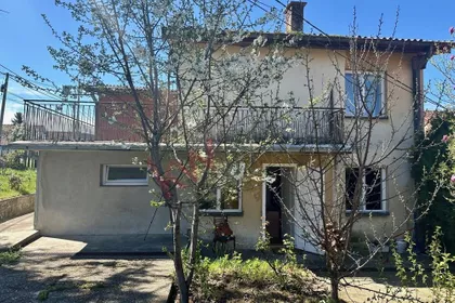 Lole Ribara | 4zida.rs