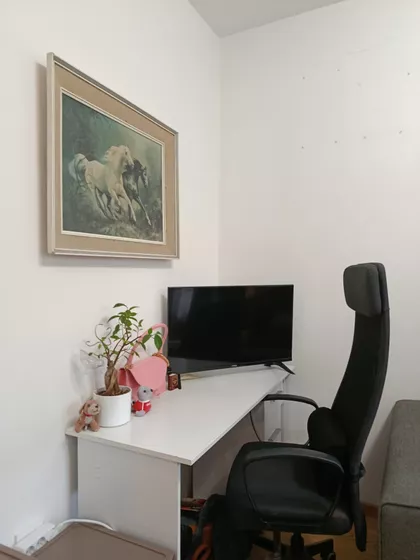 Adamovićevo Naselje | 4zida.rs