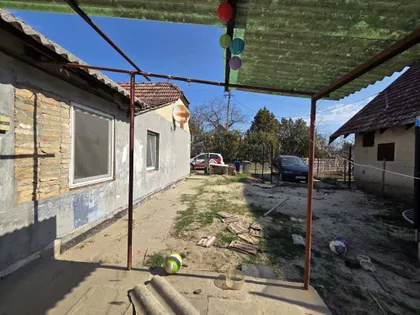 Srpski Šor | 4zida.rs