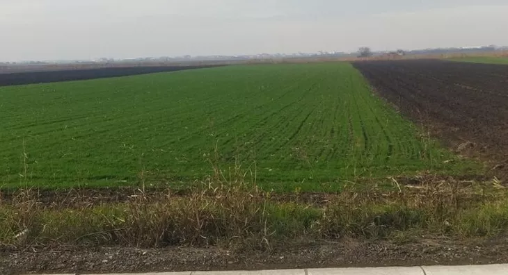 Poljoprivredno zemljište | 4zida