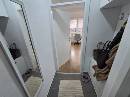 Milana Mijalkovića | 4zida.rs