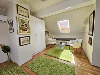 Novi Sad - Centar | 4zida.rs