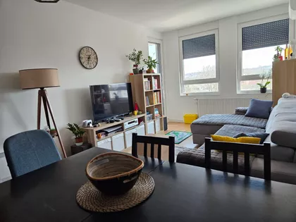 Heroja Pinkija | 4zida.rs