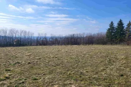 Skojevska | 4zida.rs