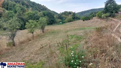 Svetosavska | 4zida.rs