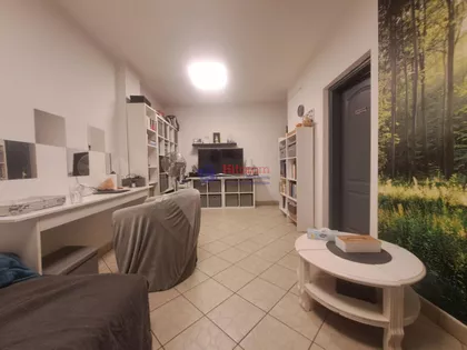 Vase Pelagića | 4zida.rs
