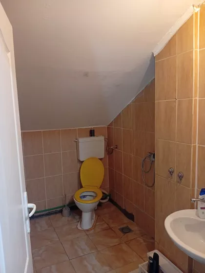 Šandora Petefija | 4zida.rs