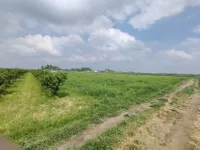 Poljoprivredno zemljište | 4zida