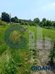 Plac | 4zida