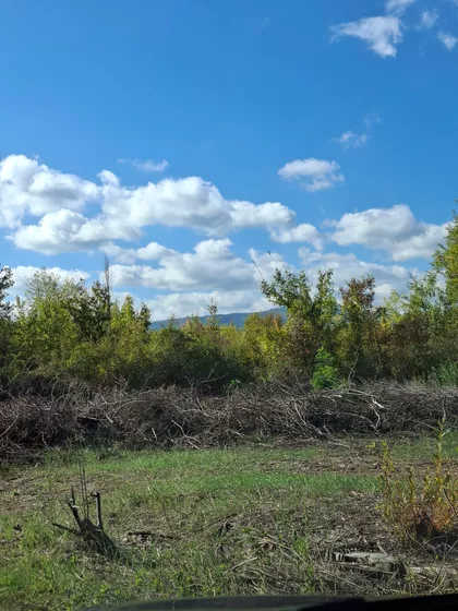 Nemanjina | 4zida.rs