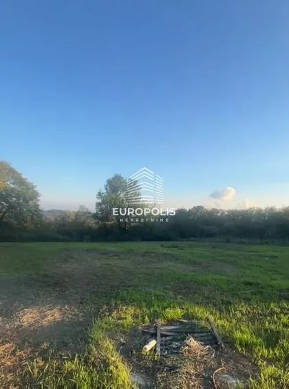 Milosava Đorića-Zoke | 4zida.rs