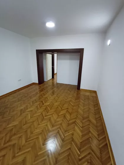 Pavla Papa | 4zida.rs