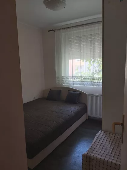 Miše Dimitrijevića | 4zida.rs