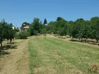 Čortanovci, Okolne lokacije, Inđija | 4zida.rs | 4zida.rs