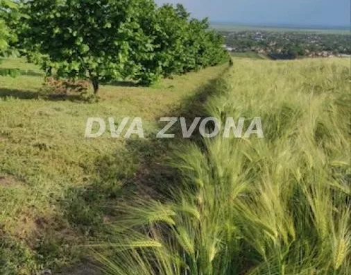 Poljoprivredno zemljište | 4zida