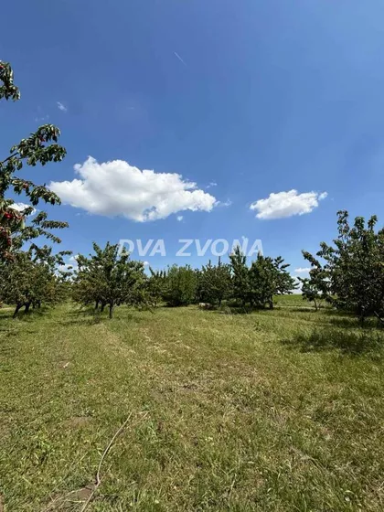 Novi Slankamen | 4zida.rs