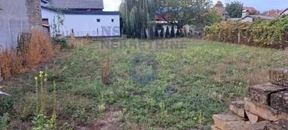 Čenej | 4zida.rs