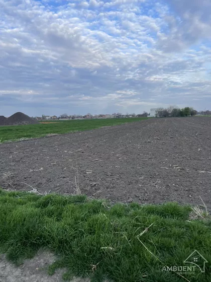 Vojka | 4zida.rs