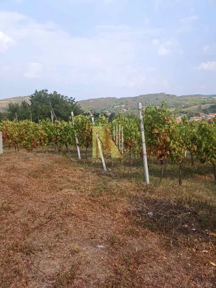 Gradske lokacije | 4zida.rs