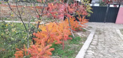 Gradske lokacije | 4zida.rs