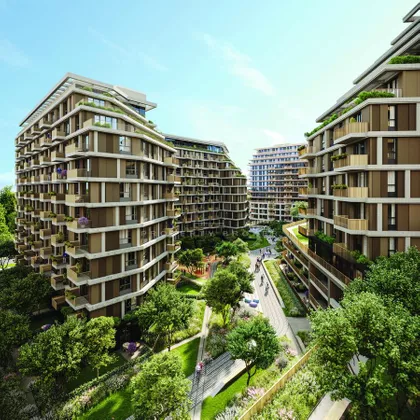 Endija Vorhola | 4zida.rs