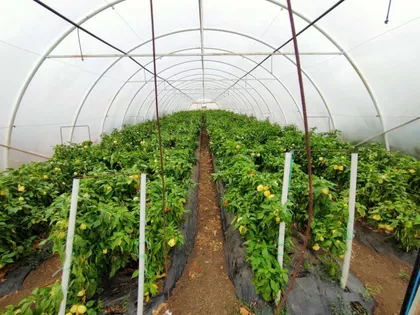 Gradske lokacije | 4zida.rs