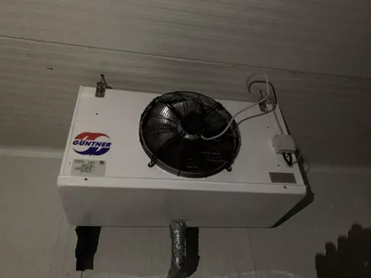 Solunskih junaka | 4zida.rs