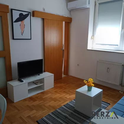 Salajka | 4zida.rs