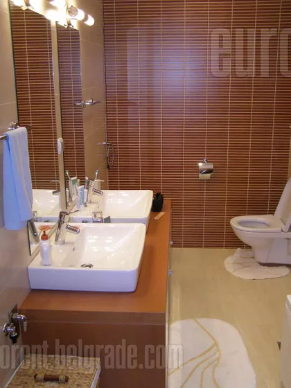 DEDINJE BELI DVOR | 4zida.rs