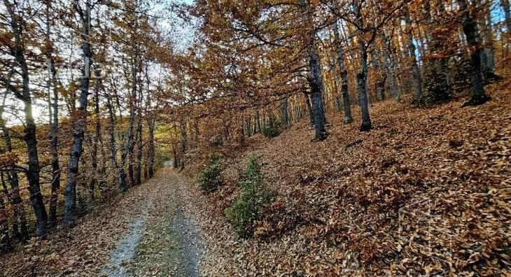 Plac | 4zida