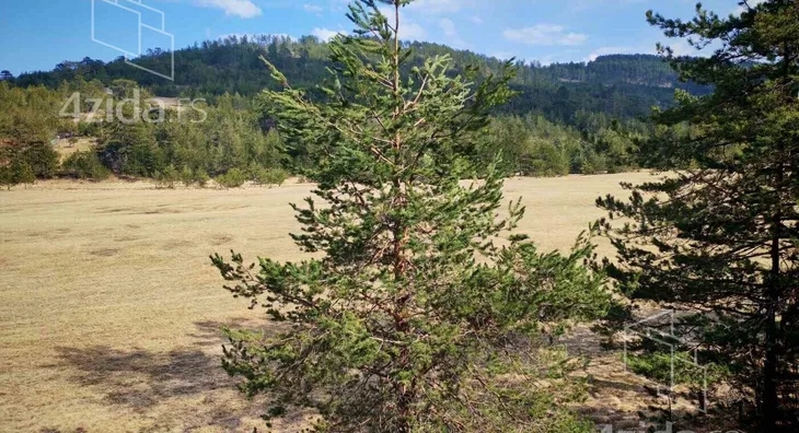 Poljoprivredno zemljište | 4zida