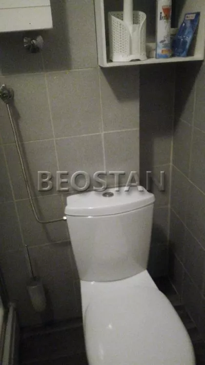 Sibinjanin Janka | 4zida.rs