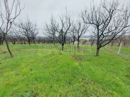 Banoštor | 4zida.rs