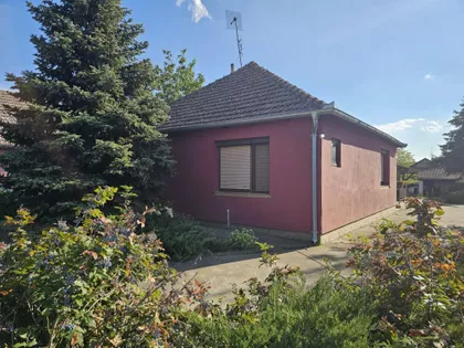 Zorka | 4zida.rs