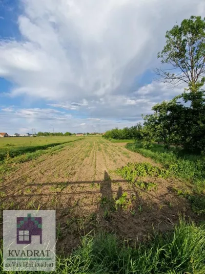 Zvečka | 4zida.rs