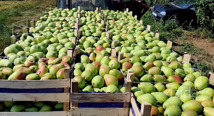 Poljoprivredno zemljište | 4zida