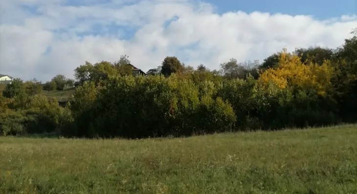 Poljoprivredno zemljište | 4zida