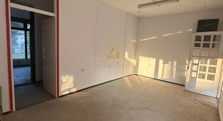 Lokal | 4zida