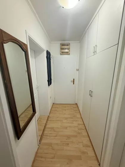 Vase Pelagića | 4zida.rs